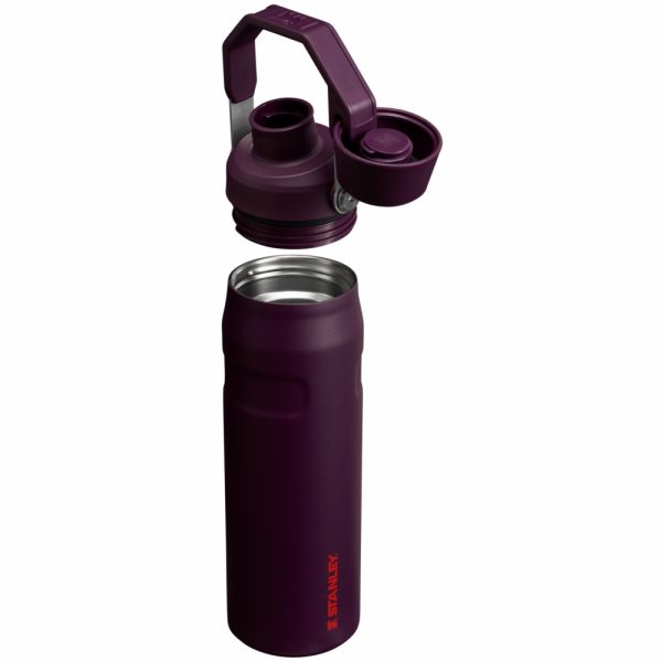 Stanley IceFlow™ Bottle with Fast Flow Lid Valentine’s Day Hot Coral