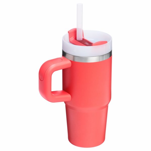 Stanley The Quencher H2.O FlowState™ Tumbler with Handle Vacuum Bottles Meadow