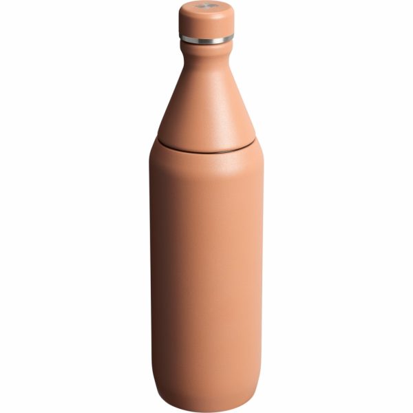 Dried Pine Stanley All Day Slim Bottle Vacuum Bottles