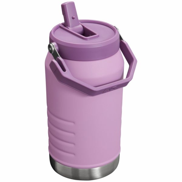 Passion Pink Stanley The IceFlow™ Flip Straw Jug Coolers & Jugs